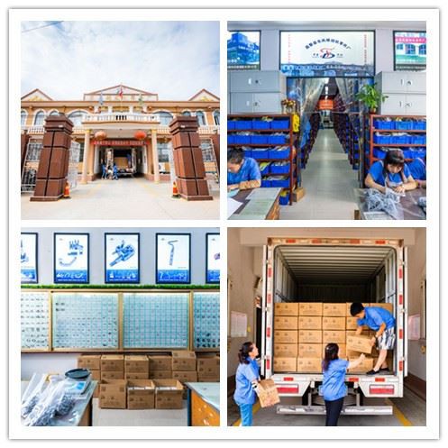 company information