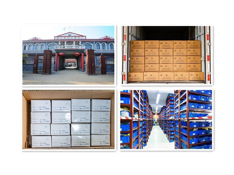 company information(001)